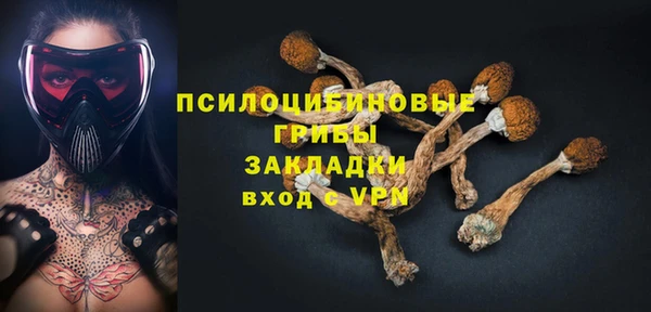экстази Няндома