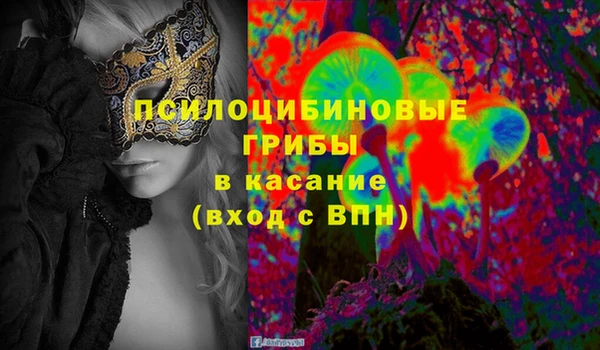 экстази Няндома