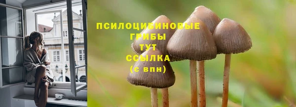 скорость Горняк