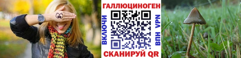Галлюциногенные грибы Psilocybine cubensis Кирсанов