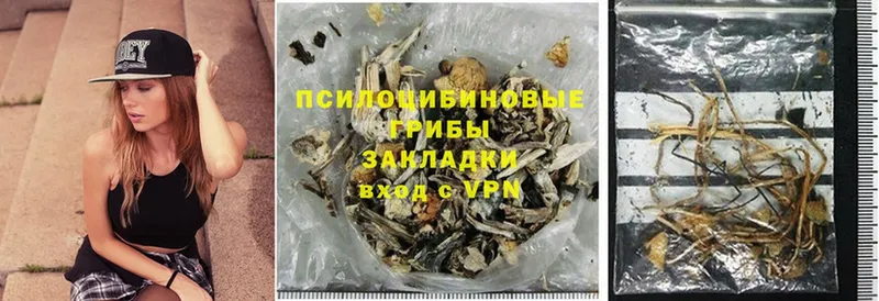 Галлюциногенные грибы Magic Shrooms  OMG зеркало  Кирсанов 